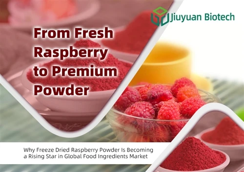 Mill-Frispberry Frisk għal Trab Premium: Għaliex Trab tal-lampun imnixxef bil-friża Qed Issir Sta...
